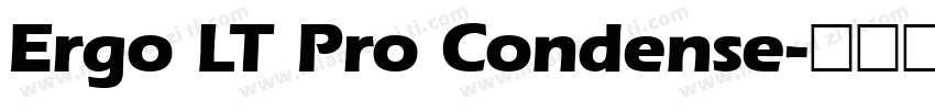 Ergo LT Pro Condense字体转换